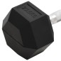 vidaXL Kurzhantel 27,5 kg Gusseisen