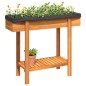 vidaXL Hochbeet 90x30x75 cm Massivholz Akazie vidaXL Hochbeet 90x30x75 cm Massivholz Akazie