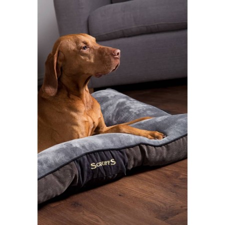 Scruffs & Tramps Hundebett Chester Größe L Grau 1162