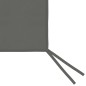 vidaXL Pavillon-Seitenwände mit Fenstern 2 Stk. Anthrazit vidaXL Pavillon-Seitenwände mit Fenstern 2 Stk. Anthrazit