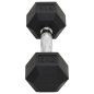 vidaXL Kurzhanteln 2 Stk. 12 kg Gusseisen vidaXL Kurzhanteln 2 Stk. 12 kg Gusseisen