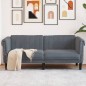 vidaXL Sofa 2-Sitzer Dunkelgrau Samt vidaXL Sofa 2-Sitzer Dunkelgrau Samt