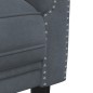 vidaXL Sofa 2-Sitzer Dunkelgrau Samt vidaXL Sofa 2-Sitzer Dunkelgrau Samt