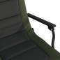 vidaXL Angelstuhl mit Armlehnen Klappbar Grün