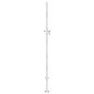 vidaXL Gartentor 100x200 cm Edelstahl vidaXL Gartentor 100x200 cm Edelstahl