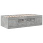 vidaXL Tagesbett mit Schubladen Betongrau 75x190 cm Holzwerkstoff