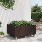 vidaXL Pflanzkasten mit Rollen Braun 100x80x54 cm PP vidaXL Pflanzkasten mit Rollen Braun 100x80x54 cm PP