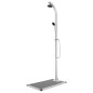 vidaXL Gartendusche mit Grauer Bodenplatte 220 cm Aluminium vidaXL Gartendusche mit Grauer Bodenplatte 220 cm Aluminium