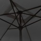 vidaXL Sonnenschirm mit Metall-Mast 300 x 200 cm Anthrazit vidaXL Sonnenschirm mit Metall-Mast 300 x 200 cm Anthrazit
