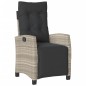 vidaXL 9-tlg. Garten-Essgruppe mit Kissen Hellgrau Poly Rattan vidaXL 9-tlg. Garten-Essgruppe mit Kissen Hellgrau Poly Rattan