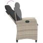 vidaXL 9-tlg. Garten-Essgruppe mit Kissen Hellgrau Poly Rattan vidaXL 9-tlg. Garten-Essgruppe mit Kissen Hellgrau Poly Rattan