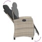 vidaXL 9-tlg. Garten-Essgruppe mit Kissen Hellgrau Poly Rattan vidaXL 9-tlg. Garten-Essgruppe mit Kissen Hellgrau Poly Rattan