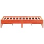 vidaXL Massivholzbett ohne Matratze Wachsbraun 120x190 cm Kiefernholz