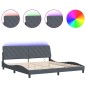 vidaXL Bettgestell mit LED-Leuchten Dunkelgrau 200x200 cm Samt