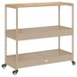 vidaXL Barwagen 3 Böden Beige Poly Rattan und Massivholz Akazie vidaXL Barwagen 3 Böden Beige Poly Rattan und Massivholz Akazie