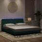 vidaXL Bettgestell mit LED-Leuchten Dunkelgrün 180x200 cm Samt vidaXL Bettgestell mit LED-Leuchten Dunkelgrün 180x200 cm Samt