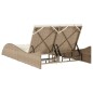 vidaXL Sonnenliege mit Auflagen Beige 114x205x73 cm Poly Rattan vidaXL Sonnenliege mit Auflagen Beige 114x205x73 cm Poly Rattan