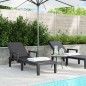 vidaXL Sonnenliege Schwarz 159x68x83,5 cm Polypropylen vidaXL Sonnenliege Schwarz 159x68x83,5 cm Polypropylen