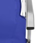 vidaXL Klappbare Campingstühle 2 Stk. Blau vidaXL Klappbare Campingstühle 2 Stk. Blau