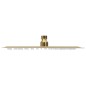 vidaXL Regenbrause Edelstahl 30x20 cm Rechteckig Golden vidaXL Regenbrause Edelstahl 30x20 cm Rechteckig Golden