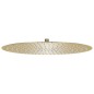 vidaXL Regenbrause Edelstahl 50 cm Rund Golden vidaXL Regenbrause Edelstahl 50 cm Rund Golden