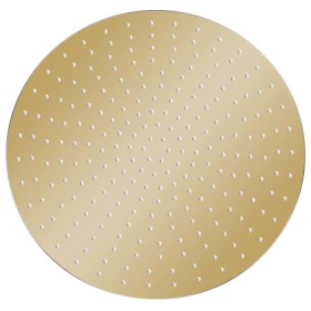 vidaXL Regenbrause Edelstahl 50 cm Rund Golden