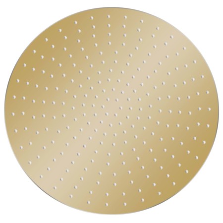 vidaXL Regenbrause Edelstahl 50 cm Rund Golden