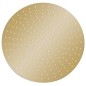 vidaXL Regenbrause Edelstahl 50 cm Rund Golden vidaXL Regenbrause Edelstahl 50 cm Rund Golden