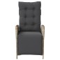vidaXL Gartensessel mit Fußteil 2Stk. Verstellbar Hellgrau Poly Rattan vidaXL Gartensessel mit Fußteil 2Stk. Verstellbar Hellgrau Poly Rattan