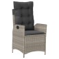 vidaXL 9-tlg. Garten-Essgruppe mit Kissen Hellgrau Poly Rattan vidaXL 9-tlg. Garten-Essgruppe mit Kissen Hellgrau Poly Rattan