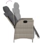vidaXL 9-tlg. Garten-Essgruppe mit Kissen Hellgrau Poly Rattan vidaXL 9-tlg. Garten-Essgruppe mit Kissen Hellgrau Poly Rattan