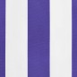 vidaXL Markisenvolant Blau und Weiß Gestreift 6 m vidaXL Markisenvolant Blau und Weiß Gestreift 6 m