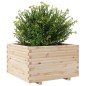 vidaXL Pflanzkübel 80x80x49,5 cm Massivholz Kiefer vidaXL Pflanzkübel 80x80x49,5 cm Massivholz Kiefer