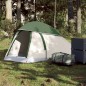 vidaXL Kuppel-Campingzelt 1 Person Grün Wasserdicht vidaXL Kuppel-Campingzelt 1 Person Grün Wasserdicht