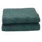 vidaXL Campingteppich Grün 4,5x2,5 m vidaXL Campingteppich Grün 4,5x2,5 m