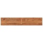 vidaXL Tischplatte 160x20x3,8 cm Rechteckig Massivholz Akazie vidaXL Tischplatte 160x20x3,8 cm Rechteckig Massivholz Akazie