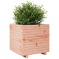 vidaXL Pflanzkübel 50x50x49,5 cm Massivholz Douglasie vidaXL Pflanzkübel 50x50x49,5 cm Massivholz Douglasie