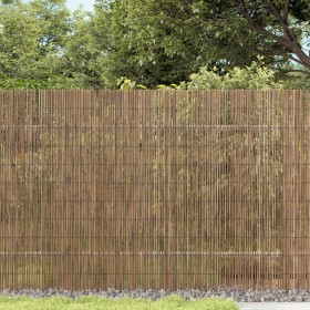 vidaXL Gartenzaun 600x100 cm Schilf