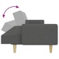 vidaXL Schlafsofa 2-Sitzer mit Fußhocker Dunkelgrau Stoff vidaXL Schlafsofa 2-Sitzer mit Fußhocker Dunkelgrau Stoff