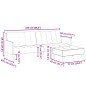 vidaXL Schlafsofa 2-Sitzer mit Fußhocker Dunkelgrau Stoff vidaXL Schlafsofa 2-Sitzer mit Fußhocker Dunkelgrau Stoff