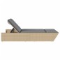 vidaXL Doppel-Sonnenliege mit Auflagen Beige Poly Rattan vidaXL Doppel-Sonnenliege mit Auflagen Beige Poly Rattan