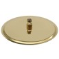 vidaXL Regenbrause Edelstahl 30 cm Rund Golden vidaXL Regenbrause Edelstahl 30 cm Rund Golden