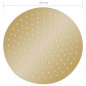 vidaXL Regenbrause Edelstahl 30 cm Rund Golden vidaXL Regenbrause Edelstahl 30 cm Rund Golden