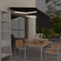 vidaXL Markise Manuell Einziehbar mit Rollo & LED 3,5x2,5 m Anthrazit vidaXL Markise Manuell Einziehbar mit Rollo & LED 3,5x2,5 m Anthrazit