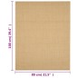 vidaXL Teppich Natur Sisal 80x100 cm vidaXL Teppich Natur Sisal 80x100 cm