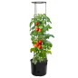 vidaXL Tomatentopf Anthrazit Ø39x150 cm Polypropylen vidaXL Tomatentopf Anthrazit Ø39x150 cm Polypropylen