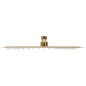 vidaXL Regenbrause Edelstahl 25x25 cm Quadrat Golden vidaXL Regenbrause Edelstahl 25x25 cm Quadrat Golden
