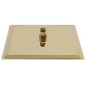 vidaXL Regenbrause Edelstahl 25x25 cm Quadrat Golden vidaXL Regenbrause Edelstahl 25x25 cm Quadrat Golden