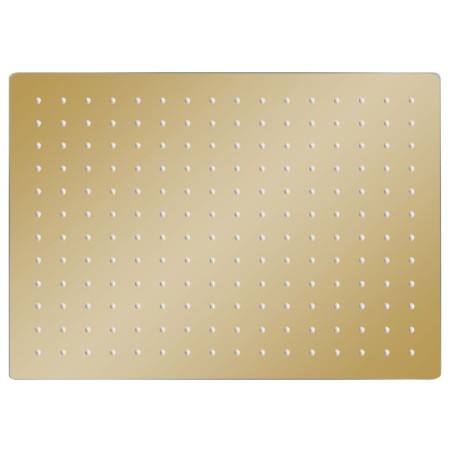 vidaXL Regenbrause Edelstahl 40x30 cm Rechteckig Golden