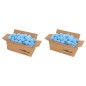 vidaXL Pool-Filterbälle Antibakteriell Blau 1400 g Polyethylen vidaXL Pool-Filterbälle Antibakteriell Blau 1400 g Polyethylen